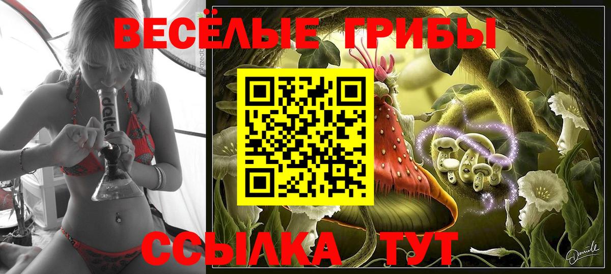 Codein Звенигород