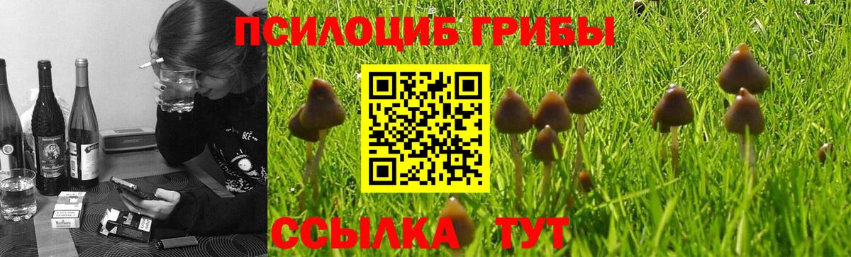 Псилоцибиновые грибы MAGIC MUSHROOMS Звенигород