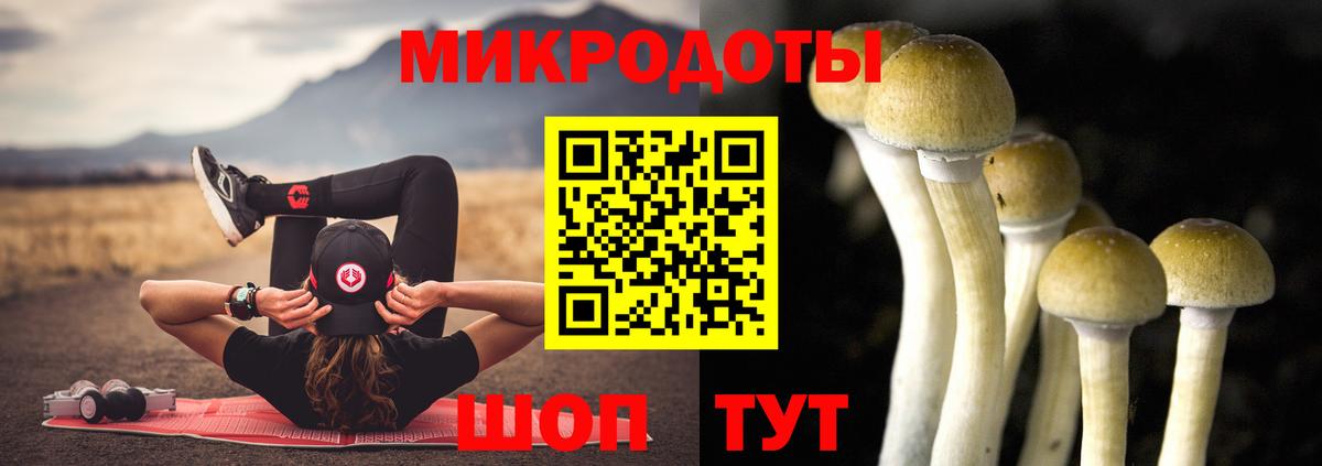 Псилоцибиновые грибы GOLDEN TEACHER  Вход с VPN  Звенигород  Галлюциногенные грибы Psilocybe 