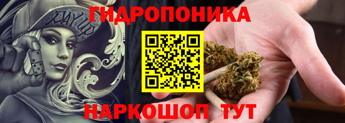 Каннабис план  Шишки марихуана семена  Вход с VPN  Звенигород  Каннабис AK-47 
